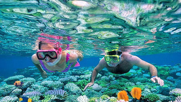 Snorkeling at Mahmya Island With Lunch