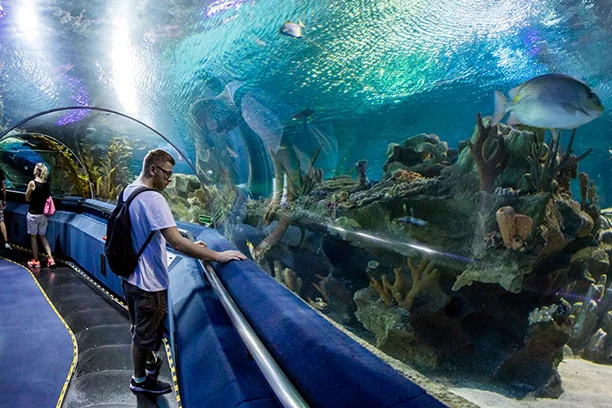 Hurghada Grand Aquarium Egypt (3)