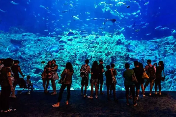 Hurghada Grand Aquarium Egypt (4)