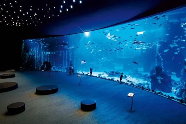 Hurghada Grand Aquarium, Oceanarium Hurghada (1)