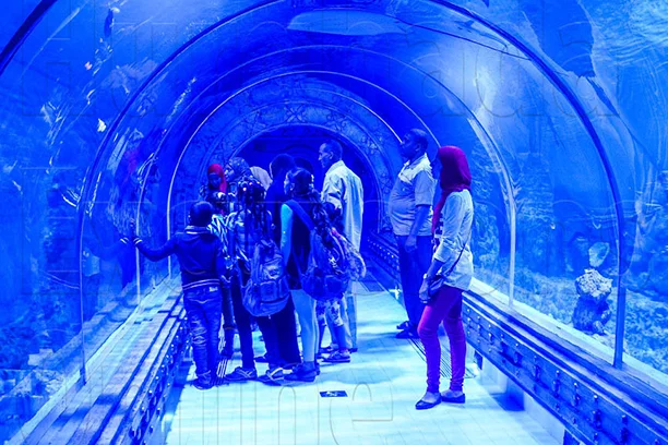 Hurghada Grand Aquarium, Oceanarium Hurghada (2)
