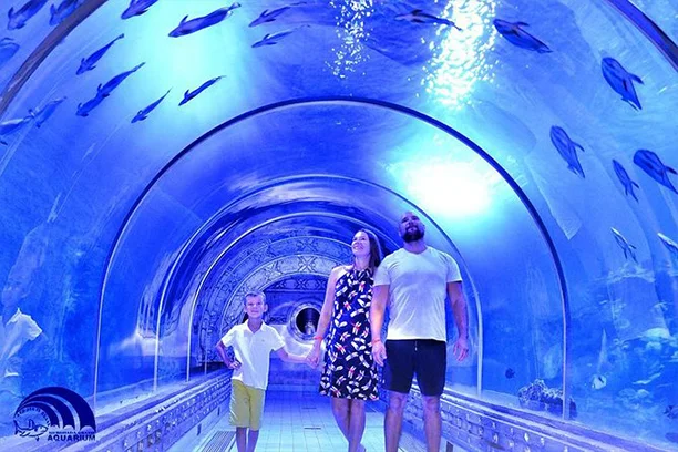 Hurghada Grand Aquarium, Oceanarium Hurghada (3)