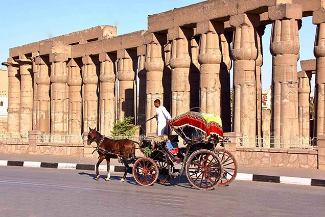 Luxor City Tour by Horse Carriage (1)