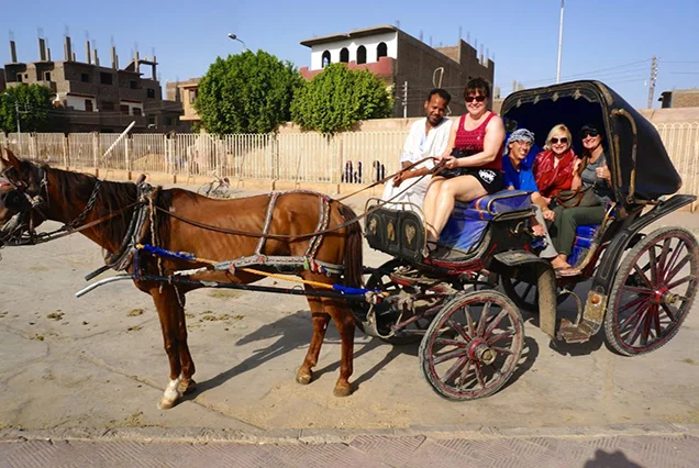 Luxor City Tour by Horse Carriage (7)