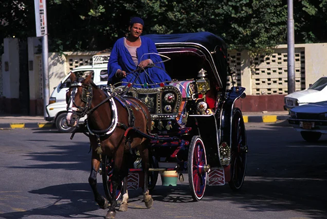 Luxor Horse Carriage (2)