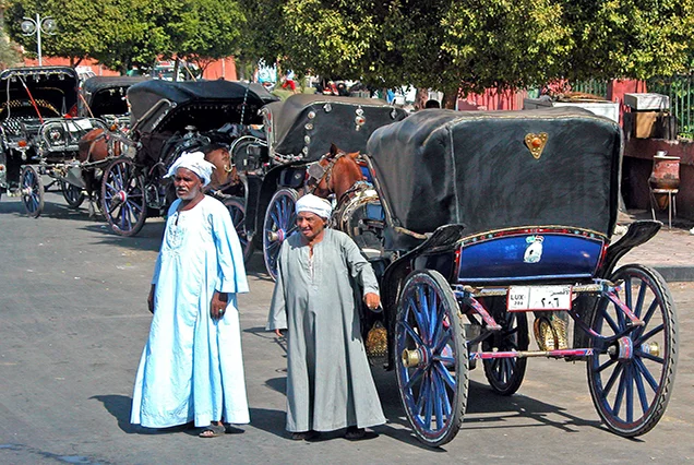 Luxor Horse Carriage (3)