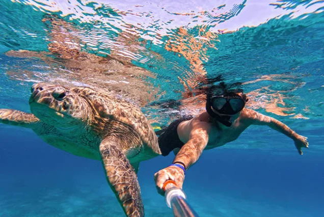 Mahmya Snorkeling, Mahmya Hurghada Snorkeling, Mahmya Island Snorkeling, Mahmya Island Trip (2)