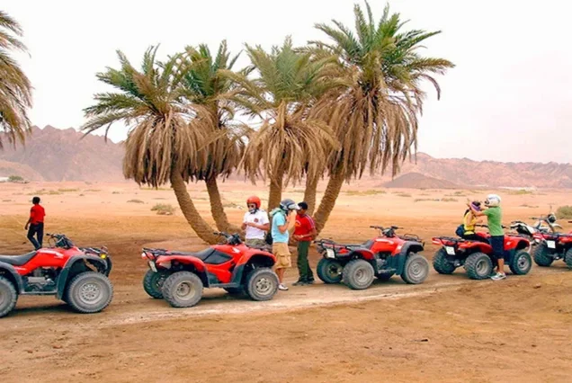 Quad Tour Hurghada (2)