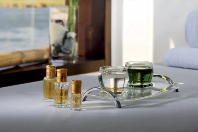 Movenpick MS Royal Lily nile cruise 17