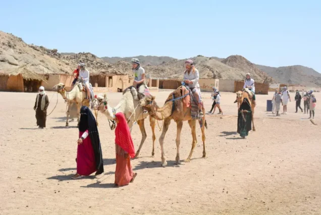 Camel Ride Hurghada
