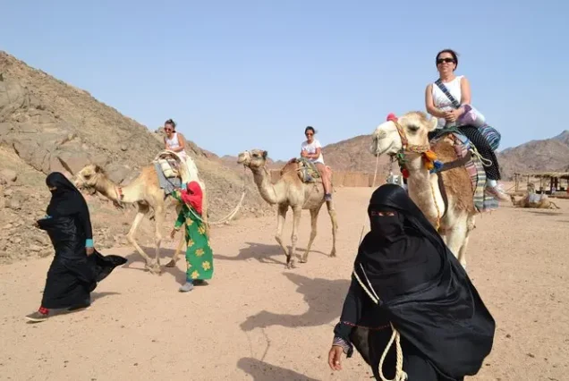 Desert Safari Hurghada Camel Ride