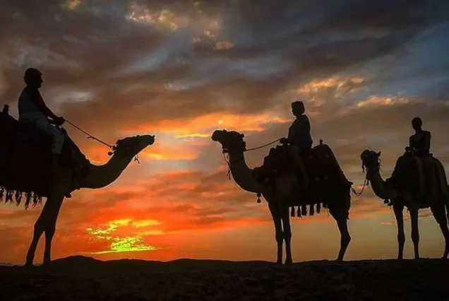 Quad Biking Desert Safari & Camel Riding Hurghada