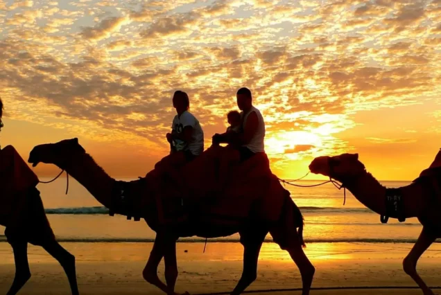 Quad Hurghada Desert Safari & Camel Riding Hurghada